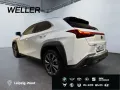 Lexus UX 300h Hybrid 5-Türer F-SPORT Design 199 PS