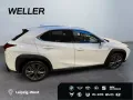 Lexus UX 300h Hybrid 5-Türer F-SPORT Design 199 PS