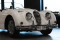 Jaguar XK 140