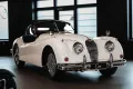 Jaguar XK 140