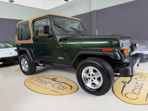 Jeep JEEP Wrangler 4.0 cat Hardtop Limited PERFETTAME