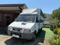 Iveco FIAT IVECO TRASPORTO ANIMALI