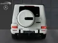 Mercedes-Benz G 450 d AMG Line NAVI Multibeam Distronic AHK