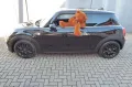 MINI ONE original 29.900 km!