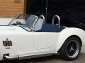 Cobra Pilgrim Cobra Sumo MKIII Zustandnote 1-