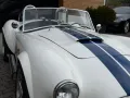 Cobra Pilgrim Cobra Sumo MKIII Zustandnote 1-