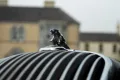 Jaguar XK 150 S OTS - LHD linksgelenkt originalzustand