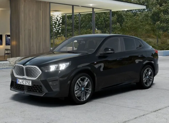 BMW iX2 xDrive30 M Sport /IconicGlow HUD Stop&Go AHK