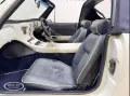 TVR S1