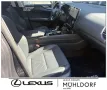 Lexus NX 450h+ E-FOUR Business