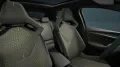 Cupra Raval VZ Extreme +AHK+PANO+SEENHEISER+NAVI