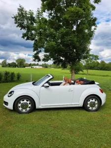 Volkswagen Beetle 1.6 TDI DSG Design BMT Cabriolet Desi...