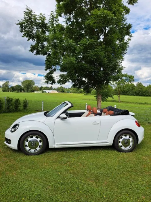 Volkswagen Beetle 1.6 TDI DSG Design BMT Cabriolet Desi...