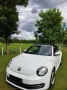 Volkswagen Beetle 1.6 TDI DSG Design BMT Cabriolet Desi...