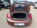 Volkswagen Beetle Cabriolet Design-Paket Black Style