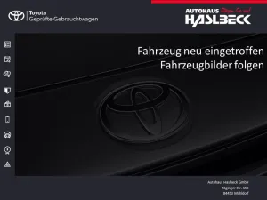 Lexus RX 450h+ (Plug-in-Hybrid) Luxury Line+Panoramada
