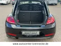Volkswagen Beetle Allstar BMT*Allwetter*PDC*