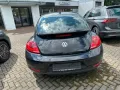 Volkswagen Beetle Lim. Cup BMT PANO+SHZ+PDC