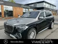 Mercedes-Benz Mercedes-Maybach GLS600 FIRST CLASS FOND 2 TONE