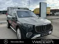 Mercedes-Benz Mercedes-Maybach GLS600 FIRST CLASS FOND 2 TONE