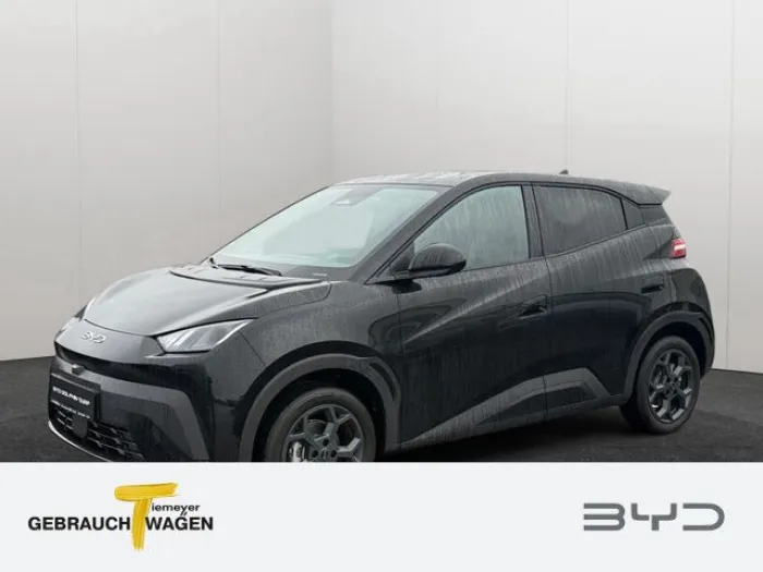BYD DOLPHIN SURF Comfort Vorverkauf