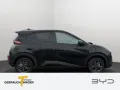 BYD DOLPHIN SURF Comfort Vorverkauf