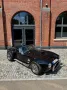 Cobra Andere