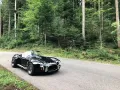 Cobra Andere