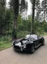 Cobra Andere