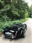 Cobra Andere