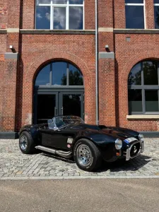 Cobra Andere