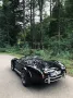 Cobra Andere