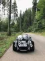 Cobra Andere