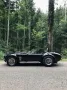 Cobra Andere
