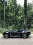 Cobra Andere
