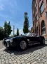 Cobra Andere