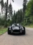 Cobra Andere