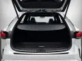 Lexus RX 500h DIRECT4 F SPORT+ 2,4 Turbo HEV *Panorama