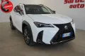 Other LEXUS UX 250h UX Hybrid Design