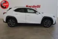 Other LEXUS UX 250h UX Hybrid Design