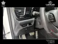 Lexus NX 450h+ E-FOUR F SPORT Panoramaglasdach, elektr