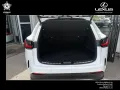 Lexus NX 450h+ E-FOUR F SPORT Panoramaglasdach, elektr