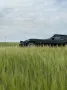 Corvette C3