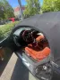 Audi TT Roadster 1.8T quattro 165 kW -