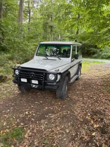 Mercedes-Benz G 230 Rostfrei, Motor überholt,