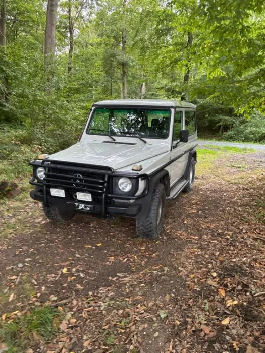 Mercedes-Benz G 230 Rostfrei, Motor überholt,