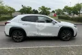 Lexus LEXUS UX Hybrid F Sport