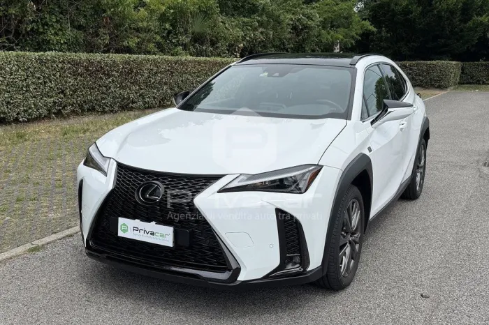 Lexus LEXUS UX Hybrid F Sport