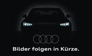 Audi SQ8 4.0 TFSI Pano Matrix Leder Kamera