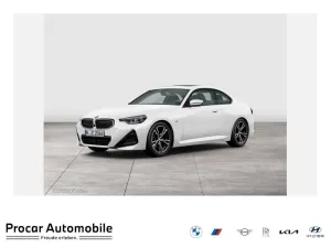 BMW 218i Coupé M Sport RFK NAVI LED PDC V+H DAB LM